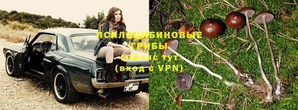 Альфа ПВП Армянск