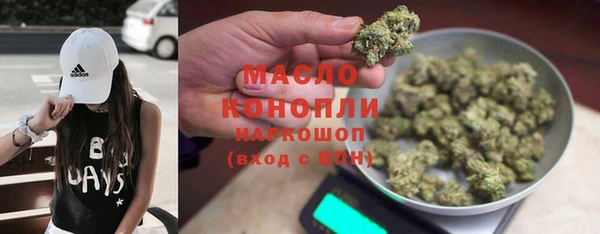 молекула духа Арсеньев