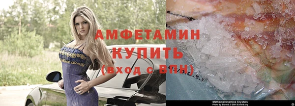 молекула духа Арсеньев