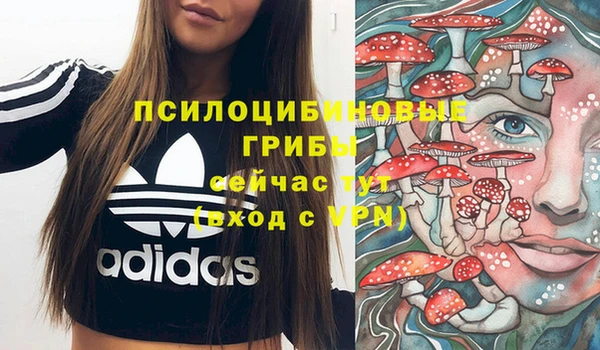 Альфа ПВП Армянск