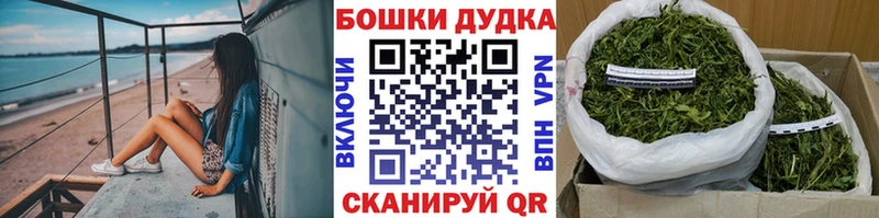 KRAKEN как войти Пыталово Конопля индика как найти закладки